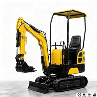 Mini-excavatrice CE de 1 tonne, excavatrice sur chenilles avec moteur haute performance, taille compacte pour serres, agriculture, vergers