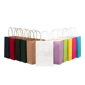 Custom Multi Sizes Multi Colors Luxury Clothing Gift Shopping Bag With Handle