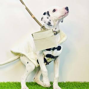 Free sample Shell Shape Multi-fonction Outdoor Activities Silicone Pacifier Storage Bag Kids&silicone <b>Dog</b> Treat <b>Pouch</b> Bag <b>Dog</b> - Product Image 4