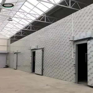 Walk-In Freezer Room dal produttore di cella frigorifera per la conservazione della cella frigorifera di pesce e carne