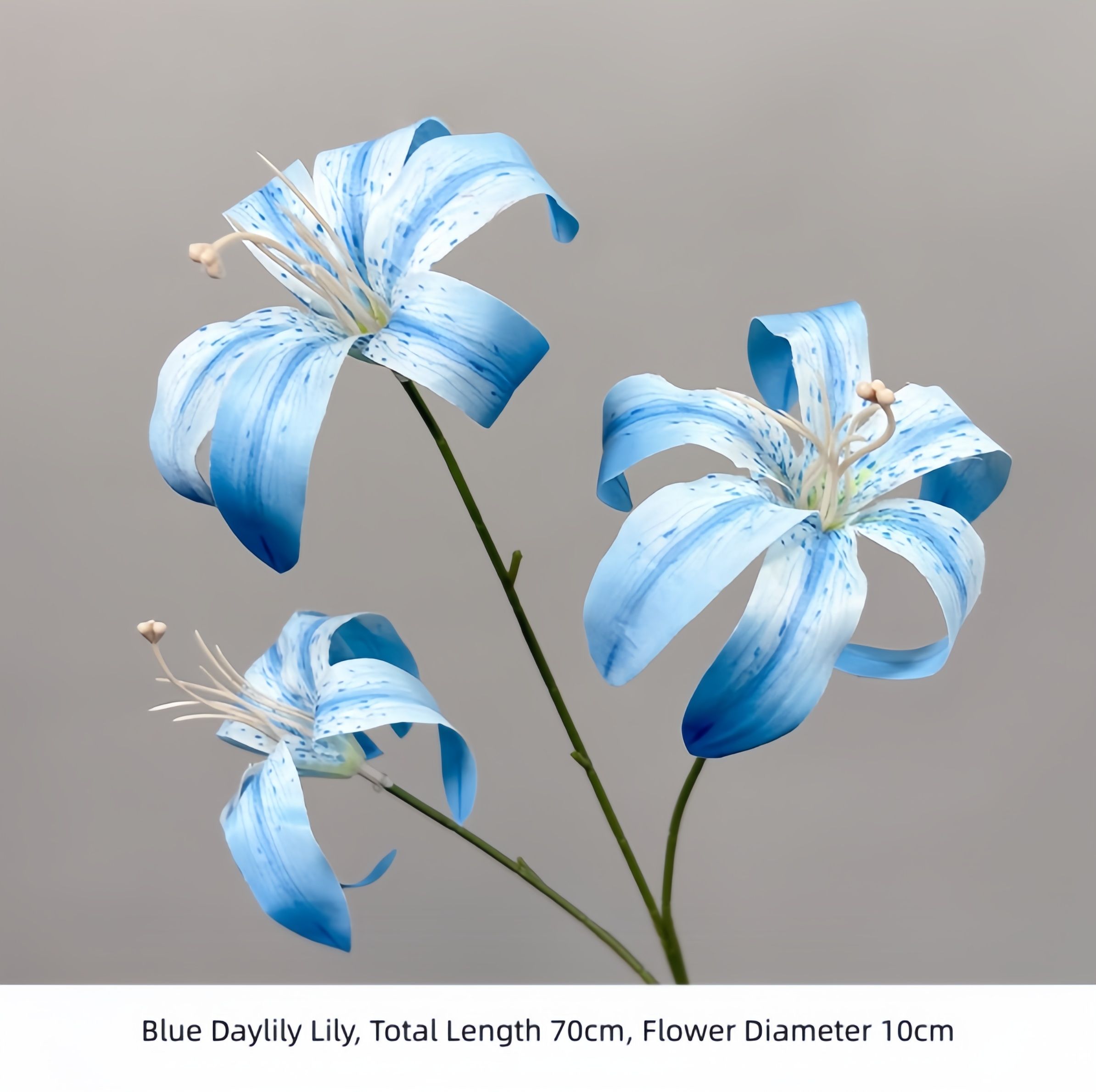 Blue Lily