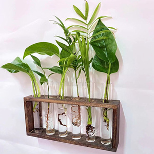 Hot Glass Planter Propagation Station Desktop Plant Terrarium With Wooden <b>Stand</b> Test Tube Flower Bud Vase for Office Decor - Product Image 2