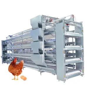 Système automatique complet de cage de poulet de batterie de maison d'élevage de volaille fermée de type H pour des couches d'oeufs