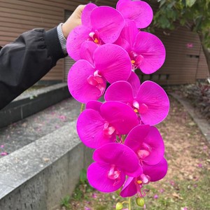 Orchidée papillon artificielle en latex blanc rose jaune, toucher réel, 9 têtes, fleurs artificielles 3D, toucher réel - Product Image 6