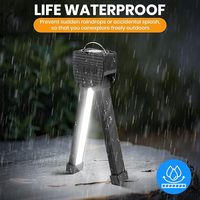 Tragbare 180-Grad-Klappbare Magnetische LED-Fitnesslampen-USB-Aufladbare Arbeitsleuchte mit Haken zum Positionieren, Reparieren und für Notfälle