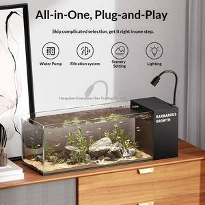 Nieuwe Stream Side Filter Visbak Woonkamer Kleine Desktop Zuurstofproductie Ultrawit Glas Ultrahelder Landschap - Product Image 6