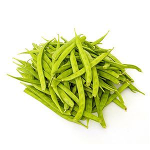 Haricots verts de qualité supérieure pour l'horticulture commerciale et les programmes de production de légumes à haute valeur ajoutée - Product Image 3