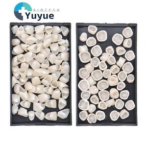 Kit de couronnes dentaires temporaires, couronnes en résine pour dents antérieures et postérieures, pour usage clinique - Product Image 1