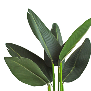 Venta caliente 80-220cm Plantas artificiales de viaje Faux Tropical Potted <span class=keywords><strong>Banana</strong></span> <span class=keywords><strong>Tree</strong></span> para Decoración - Product Image 3