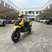 Exportation vers le Brésil : Moto électrique Falcon OEM Enduro, fabricant de motos électriques à pneus larges pour la ville, avec batterie longue portée.