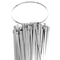 Attaches de câbles autobloquantes robustes en acier inoxydable 304 Nindejin 304-JSZD, largeur 4,6-10 mm, usage industriel, pour isolation d'échappement