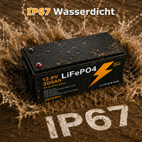 Batterie au lithium 12V 300Ah pour entrepôt européen, durée de vie de plus de 15000 cycles à 60 % de décharge profonde, pack de batteries LiFePo4 étanche IP67