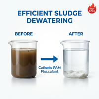 Agent de déshydratation des boues polymères cationiques CPAM, poudre floculante, pureté 99 %, pH 5,0-7,0