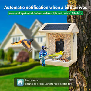 Mangeoire à oiseaux intelligente avec caméra, panneau solaire imperméable en bois amélioré 2024, reconnaissance des espèces d'oiseaux, mangeoires à oiseaux intelligentes en pin - Product Image 3