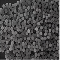 Microsphères magnétiques tolylées pour la recherche en immunologie, pour l'immobilisation des anticorps et les applications de détection de biomarqueurs