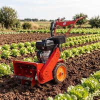 Micro-cultivateur agricole haute performance, idéal pour le travail du sol, adapté à divers types de sols, lames durables, poignée confortable.