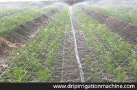 Accessoires pour Tuyaux d'Irrigation Goutte à Goutte Agricole : Ruban Micro-Pulvérisateur en PE pour Cultures