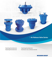 DN25-DN250 Automatique Air valve, Valve De Décompression Rapide Soupape de Dégagement PN16