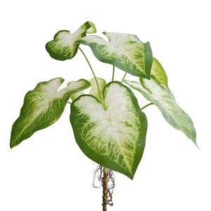 Feuilles de Taro Artificielles Yihua Floral Art, Grand Bouquet, Plante en Soie, Décoration d'Intérieur, Style Moderne - Product Image 4