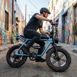 Vélo électrique rétro 48V avec écran LCD et éclairage LED, vélo électrique élégant à pneus larges pour un style de vie urbain - Product Image 1