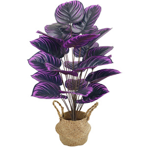 Kunstpaars Zwart Violet Ingemaakte Simulatie Groene Plant Violet Donkergroene Plant Huis Woonkamer Decoratie Potplant - Product Image 1