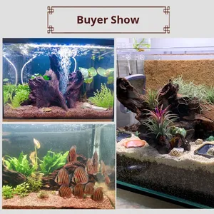 Decoración para Acuario, Madera Flotante Fina de 10-80 cm, Teca Púrpura Natural de América del Sur, Puente Arqueado para Peces Grandes, Dragón, Tigre - Product Image 3