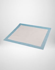 Almohadillas de Entrenamiento Desechables para Cachorros - Product Image 1