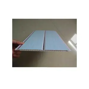 Paneles de techo de plástico Pvc para baño, impermeables, transparentes, nuevo diseño