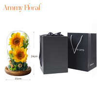 AM-PFA64 Ammy Fleurs éternelles Tournesol sous cloche en verre avec boîte cadeau noire Fleurs préservées sous couvercle en verre Décoration de Noël pour la maison