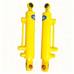 खुदाई बाल्टी बूम आर्म सिलेंडर के लिए डबल सीलरी हाइड्रोलिक सिलेंडर-hc ब्रांड-hc ब्रांड से प्रमाणित 1 वर्ष की वारंटी cn/jia मूल - Product Image 5