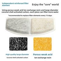 Kit de remplacement de filtre pour fontaine à eau pour animaux de compagnie, pour chats et chiens, charbon actif en coque de noix de coco, résine, accessoire pour fontaine à eau pour chat