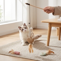 Ensemble de jouets interactifs pour chat : baguette en bois avec têtes interchangeables, plumes et corde en papier