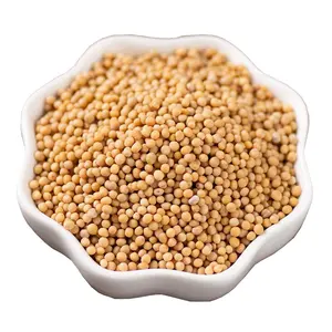 Qingchun Culinary Spices Factory Direct Sales Yellow Mustard Spices Whole Mustard Seeds