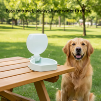 Fontaine à eau portable en PP fabriquée en usine pour la promenade des chiens en extérieur, l'abreuvement et l'alimentation des chats, fournitures pour animaux de compagnie