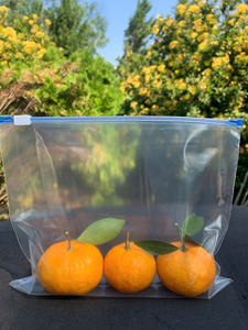 Freezer Bags Microwaveable Leakproof Gravure Printed Zipper Top Food Storage <b>Containers</b> for Sandwich Snack <b>Travel</b> Picnic Work - Product Image 3