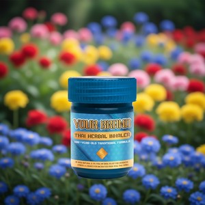 Inhalateur nasal en plastique aux herbes thaïlandaises, menthol naturel, camphre, cannelle pour le bien-être et la relaxation, authentique produit à base de plantes thaïlandais - Product Image 6