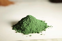 Hyrox Oxyde de Fer Vert Fe2O3 835 Poudre Pigment à Forte Force Teintante pour Revêtements et Béton 25kg/sac
