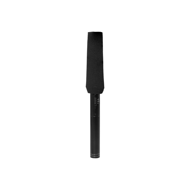 Lucky Tone Professional Condenser Microphone Directional Mic for Classroom/ Conference Room/ Studio