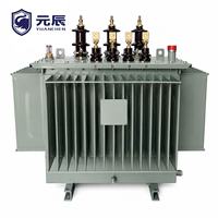 Transformateur de puissance triphasé immergé dans l'huile à bobinages en cuivre 6 kV 13,2 kV 20 kV 80 kVA 200 kVA 400 kVA 500 kVA 630 kVA 800 kVA IEC 60076