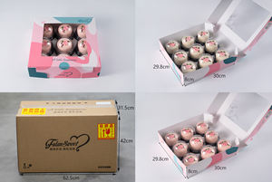 Fulansweet <span class=keywords><strong>Cake</strong></span> <span class=keywords><strong>Factory</strong></span> primavera nuovi arrivi deliziosi dessert bellissime torte congelate serie di fiori di pesco deliziose torte - Product Image 6