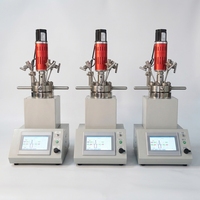 Reactor de Síntesis Hidrotermal Química con LED, Autoclave Industrial de 100ML de Alta Presión con Agitación Automática