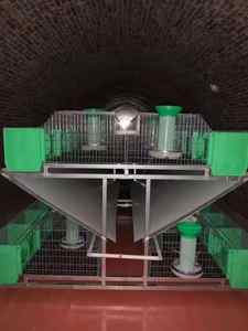 Cassa da parto molto bella di qualità garantita Rabit roditore allevamento Rack gabbie da laboratorio per gabbia di coniglio - Product Image 5