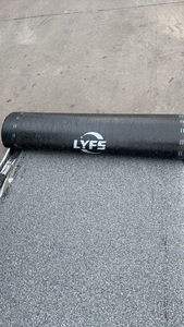 Precio al por mayor de fábrica SBS APP Betún Membrana impermeable 3mm 4mm Espesor Antorcha Abajo Fieltro de poliéster para techos - Product Image 4