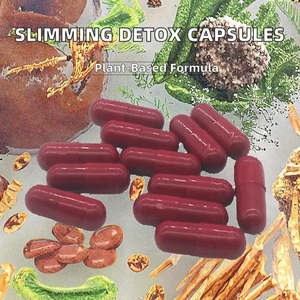 Capsules personnalisées brûle-graisses à base de plantes pour la perte de poids <span class=keywords><strong>350mg</strong></span> 60 unités – Détox santé, nettoyage, amincissement, inhibition de l'appétit pour femmes - Product Image 2