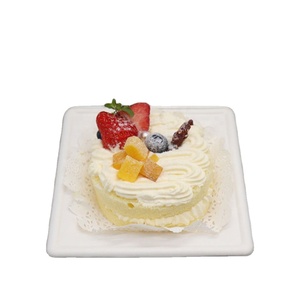 Assiettes carrées jetables anti-déformation biodégradables de 10 pouces en bagasse de canne à sucre pour plats à emporter et pique-niques - Product Image 4