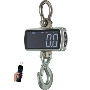 เครื่องชั่งเครนดิจิตอลราคาประหยัด พร้อมจอ LCD แสดงผลแบบ OEM ปรับแต่งได้ รองรับน้ำหนัก 1000 กก. - Product Image 1