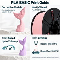 Filament d'imprimante 3D PLA Basic Ridory 1,75 mm 1 kg pour imprimantes 3D Bambu Lab et Creality pour vases décoratifs