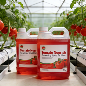 <span class=keywords><strong>Engrais</strong></span> Booster de <span class=keywords><strong>Floraison</strong></span> pour Tomates à Haute Efficacité - Favorise la <span class=keywords><strong>Floraison</strong></span> Précoce et Prévient l'Abscission des Fleurs - Product Image 5