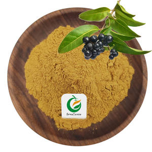 Estratto di Fructus Ligustri <span class=keywords><strong>Lucidi</strong></span> in polvere estratto di frutta ligurum Lucidum estratto di frutta privato lucido - Product Image 1