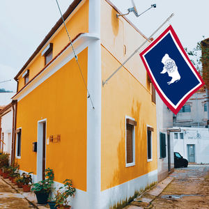 ध्वजारोहण ध्वज थोक कस्टम सभी देश राष्ट्रीय ध्वज 3x5 फीट आउटडोर पॉलिएस्टर फाइबर फास्ट डिलीवरी अनुकूलित - Product Image 4